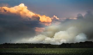Bosbrand met onweersbui