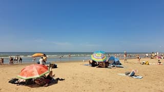 Lekker onder de parasol!