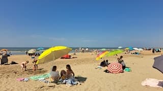 Lekker onder de parasol!