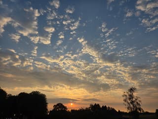 avond wandeling 