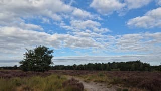 Mooie wolkenluchten vandaag 