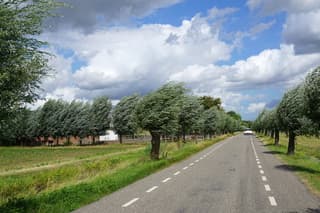 Wind