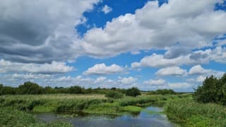 Volop groen in De Onlanden