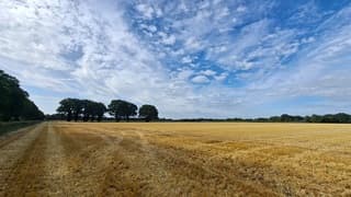 Fraaie wolkenlucht boven gemaaid graanveld