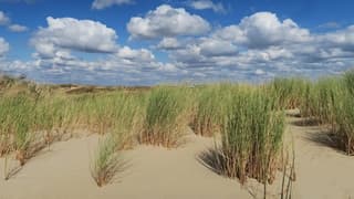 Stapelwolken boven de zeereep