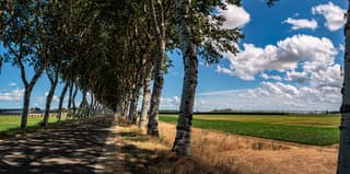 Kortgene