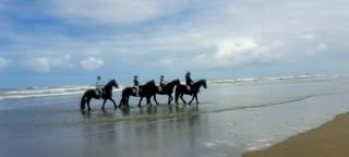 Ameland strandrit 