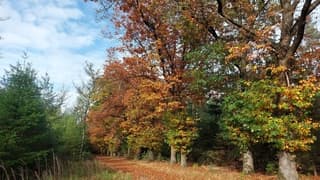 Abnormale droogte