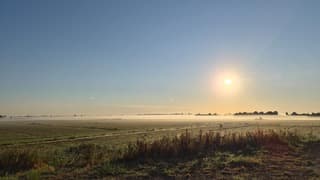 Zon opkomst met dauw