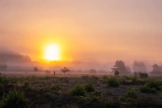 Sallandse Heuvelrug zonsopkomst