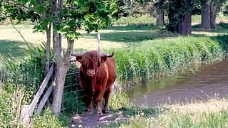 Mooi klein schaduw plekje 