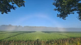 Mistboog Westerbroek 07:42 uur zaterdag 8 augustus 2026