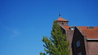 Volop zonnig weer 