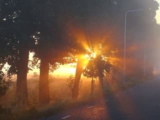 Zonnestralen 