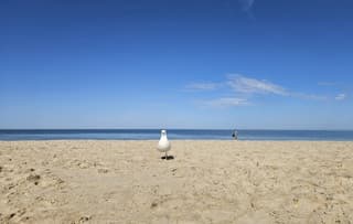 Stranddag