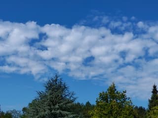 Wolken 