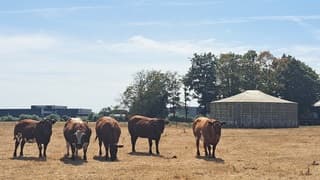 Droogte houdt aan