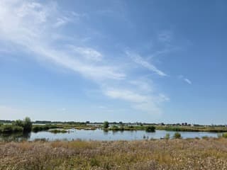 Natte Nieuwe Driemanspolder Zoetermeer