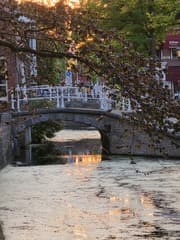 Spiegeling van de zon in Delftse Gracht