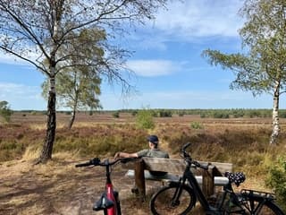 Zon/wolken/heide