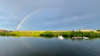Regenboog 