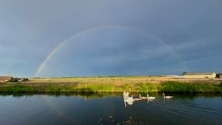 Regenboog 
