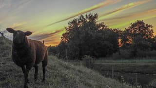 Zonsopkomst met wolken