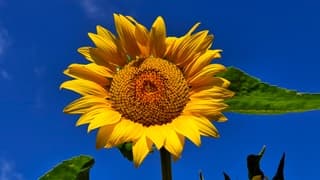 Zonnig en warm in Katwijk aan Zee
