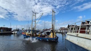 Hard werken in de haven