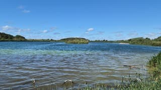 Waterwingebied Pwn noordholland