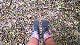 Lijkt wel herfst met al die dore bladeren 