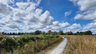 Lekker wandelweer