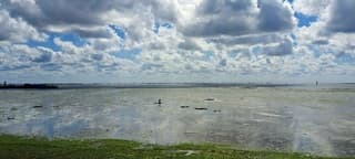 Ameland kokkelgraven