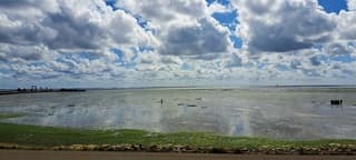 Ameland Veerhaven laag water 