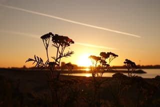 Zonsopkomst 