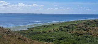 Ameland Oerd