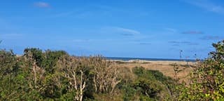 Ameland Oerd