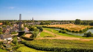 Blauwe lucht en droog gras in Terheijden.
