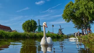 Zwaanse Schans