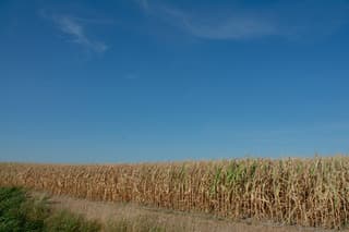 Droogte en zon