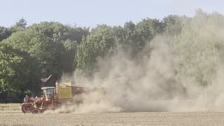 Volop stof tijdens uien rooien