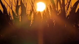 Zonsverduistering 