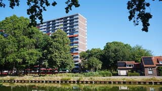 Zomers warme dag 