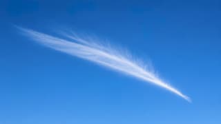 Windveer