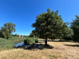 Heemskerk 