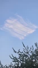 Ruitvormige wolk