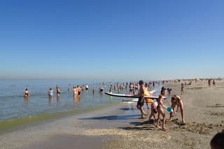 Allemaal in zee