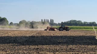 Kurkdroog en stoffig!