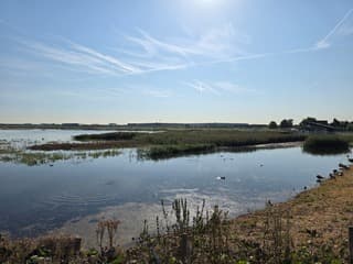 Bergboezem als waterreservoir