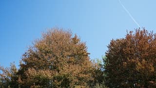 Herfst in de zomer 